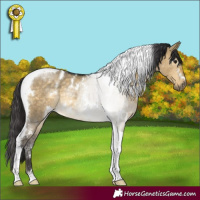 Horse Color:White Spotted Buckskin Dun Tobiano Rabicano 