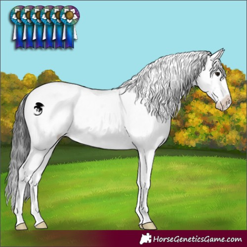 Horse Color:Black Sabino Varnish Rabicano 