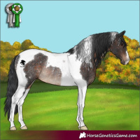 Horse Color:Brown Tobiano Rabicano 
