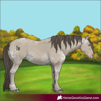 Horse Color:Classic Cream Champagne Ice 