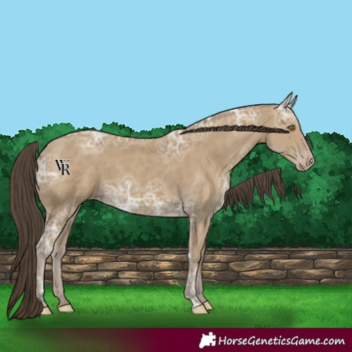 Horse Color:Classic Cream Champagne Ice 