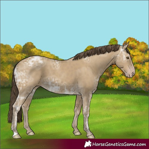 Horse Color:Classic Cream Champagne Ice 