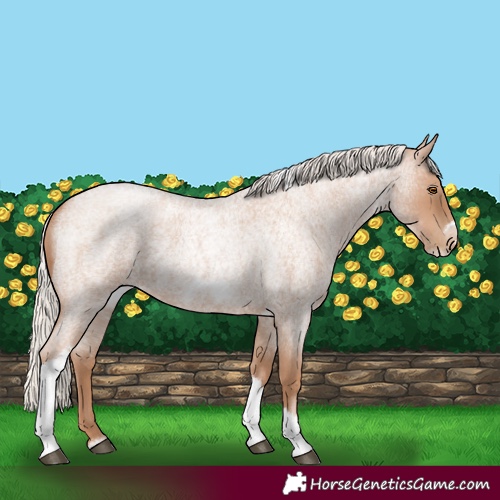 Horse Color:Silver Blue Roan Pearl Tobiano Frame 