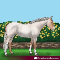 Horse Color:Silver Blue Roan Pearl Tobiano Frame 