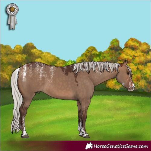 Horse Color:Powder White Silver Brown Dun 
