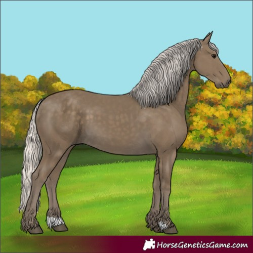 Horse Color:Silver Smoky Black 