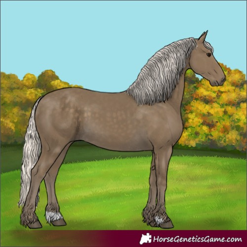 Horse Color:Silver Smoky Black 