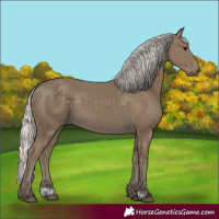 Horse Color:Silver Smoky Black
