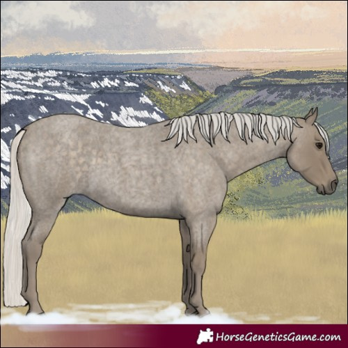 Horse Color:Silver Smoky Blue Roan 