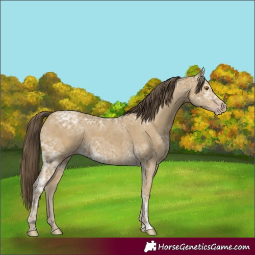 Horse Color:Classic Cream Champagne Ice 