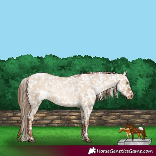 Horse Color:White Spotted Liver Red Dun Pearl Snowflake Varnish 