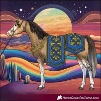 Horse Color:Buckskin Dun Splash  and Buckskin Dun Splash 