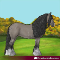 Horse Color:Grullo Sabino Rabicano 