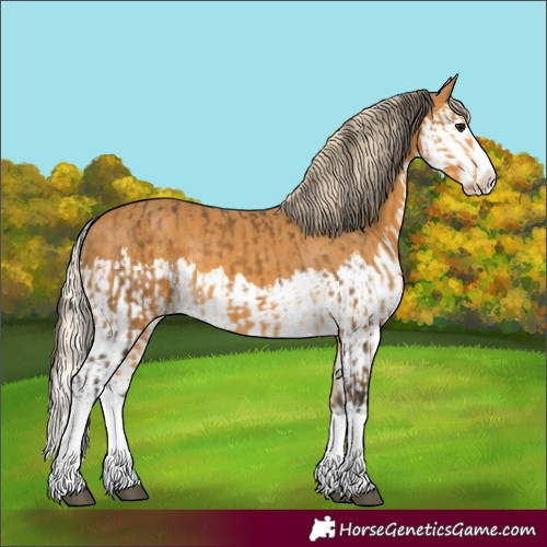 Horse Color:Buckskin Splash  and Palomino Splash 
