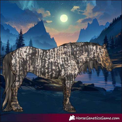 Horse Color:Palomino Roan  and Smoky Black 