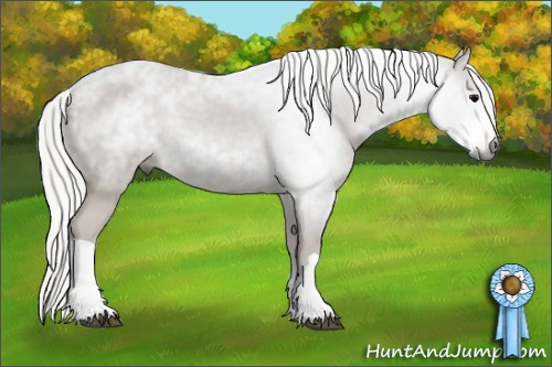 Horse Color:Gray Silver Black Varnish Rabicano