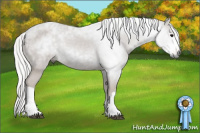 Horse Color:Gray Silver Black Appaloosa Rabicano 