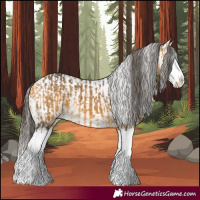 Horse Color:Buckskin Splash  and Buckskin Splash 