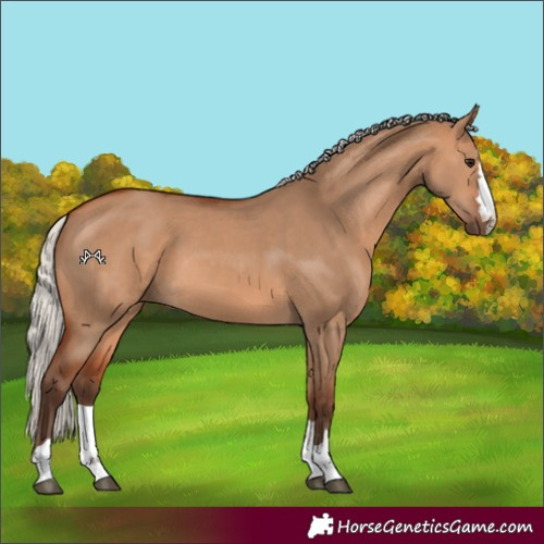 Horse Color:Silver Bay Dun 
