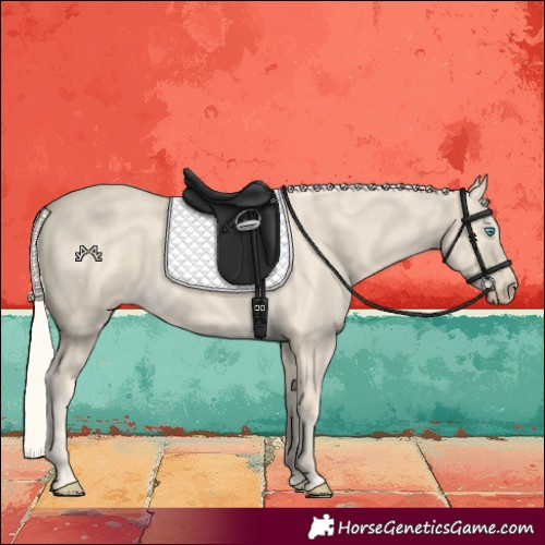 Horse Color:Cremello 