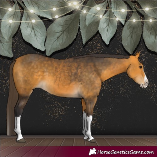 Horse Color:Buckskin Splash  and Buckskin Splash 