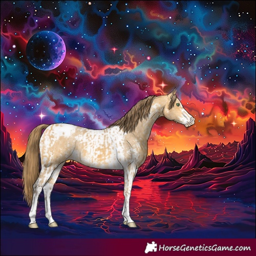 Horse Color:Amber Cream Champagne Sabino Tobiano Appaloosa  and Amber Cream Champagne Sabino Tobiano Appaloosa Rabicano 