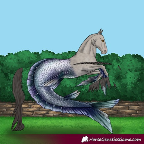 Horse Color:Classic Cream Champagne 