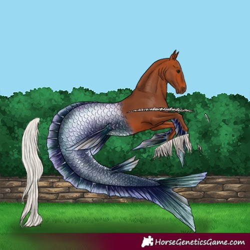 Horse Color:Silver Bay 