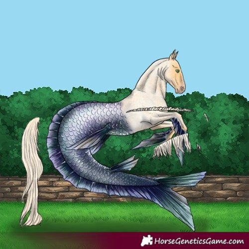 Horse Color:Gold Cream Champagne Roan 