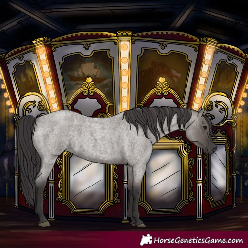 Horse Color:Smoky Grullo Roan 