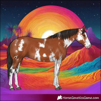 Horse Color:Bay Sabino  and Bay Sabino 