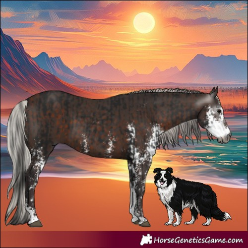 Horse Color:Gray Brown Sabino  and Silver Brown Sabino 
