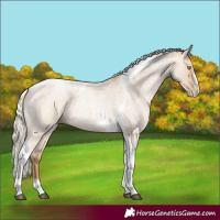 Horse Color:Silver Grullo Roan Pearl Tobiano Frame 