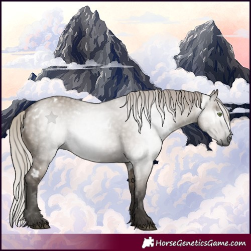 Horse Color:Gray White Spotted Silver Grullo Rabicano 