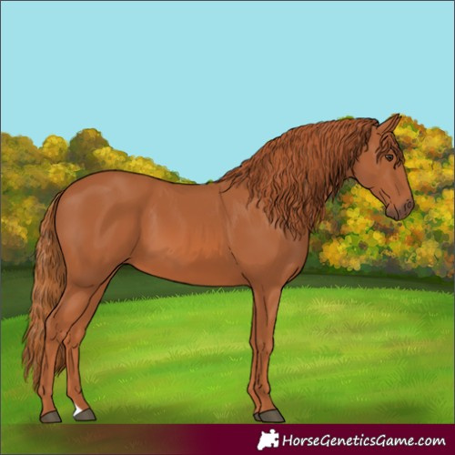 Horse Color:Chestnut 
