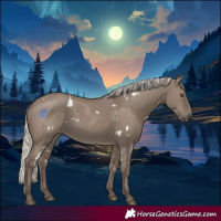 Horse Color:White Spotted Silver Grullo Rabicano 