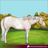 Horse Color:Silver Blue Roan Pearl Tobiano Frame