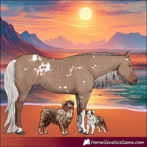 Horse Color:White Spotted Silver Grullo Tobiano Rabicano