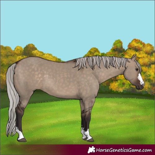 Horse Color:Silver Brown Dun 