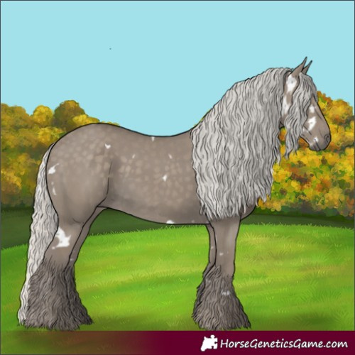 Horse Color:White Spotted Silver Smoky Grullo Rabicano 