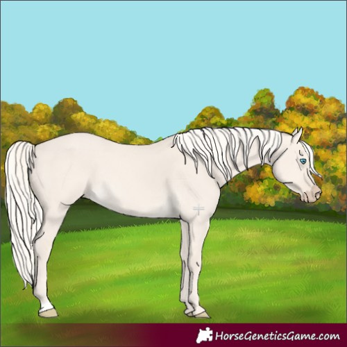 Horse Color:Cremello Dun Rabicano 