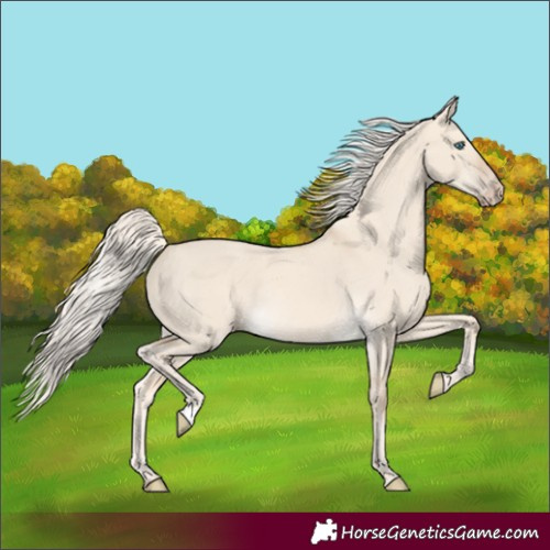 Horse Color:Cremello Dun Rabicano 