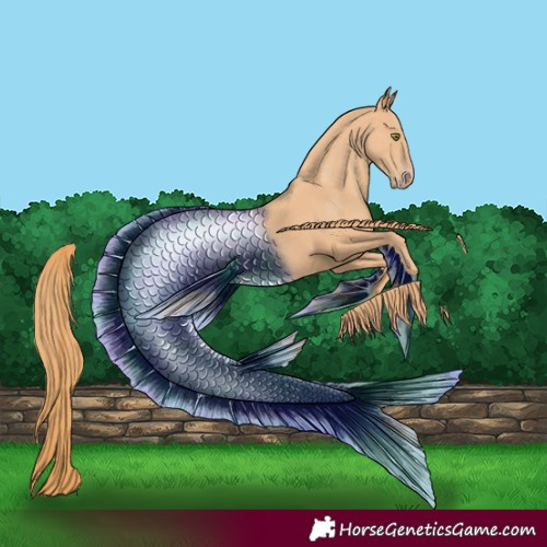 Horse Color:Gold Champagne 