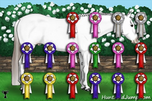 Horse Color:Black Splash Frame Appaloosa 