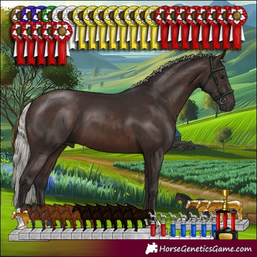 Horse Color:Silver Brown 