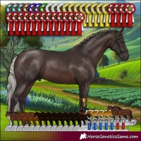 Horse Color:Silver Brown