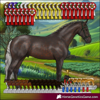 Horse Color:Silver Brown 