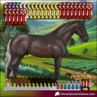 Horse Color:Silver Brown 