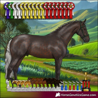 Horse Color:Silver Brown 