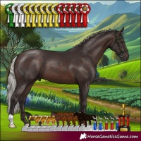 Horse Color:Silver Brown 